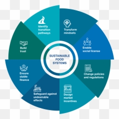 Worldfish Strategy - Uw Sustainable Food System png