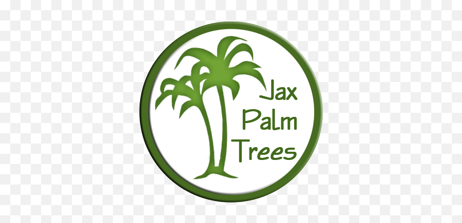 Jacksonville Florida Palm Trees U2013 Jacksonvilleu0027s Tree Source - First Travel Png,Palm Tree Logo