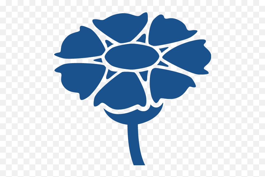 Why The Cornflower U2013 Kornblume - Decorative Png,Blue Flower Icon