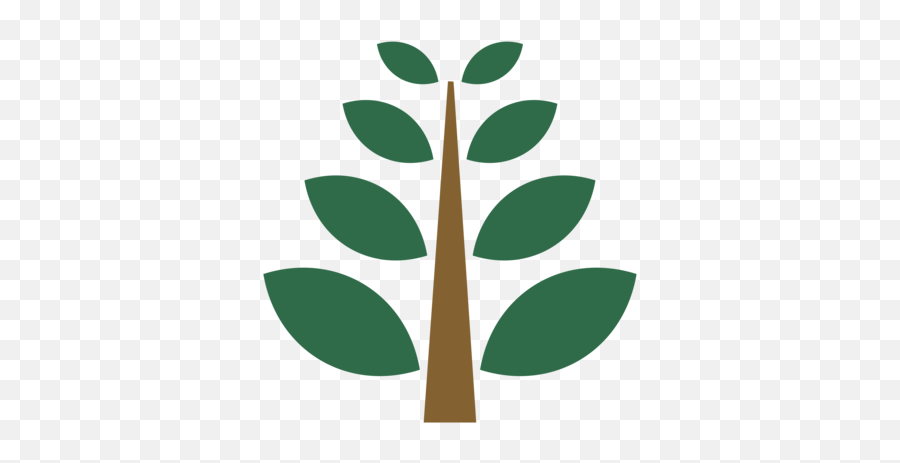 Evergreen Tree Care Professional Services - Vertical Png,Tree Leaf Icon