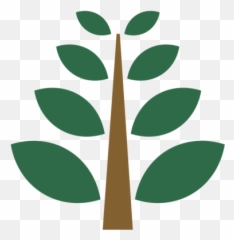 Evergreen Tree Care Professional Services - Vertical png