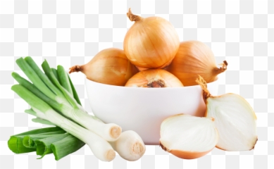 Pin - Electric Onion Cutter Machine Png,Onion Png