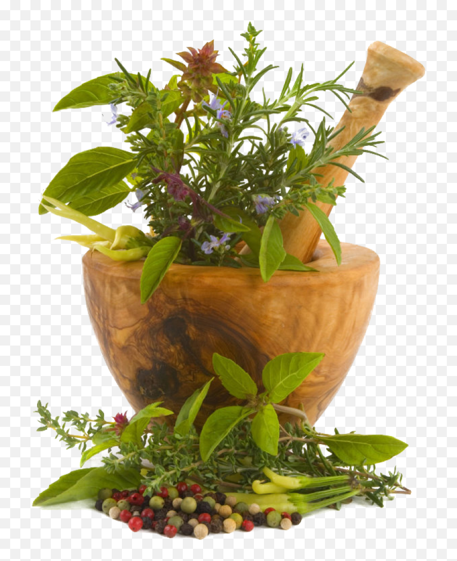 Chinese Herbs Png Image - Botanical Luxuriate Hair Growth Oil Price,Herbs Png