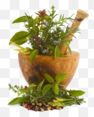 Chinese Herbs Png Image - Botanical Luxuriate Hair Growth Oil Price,Herbs Png