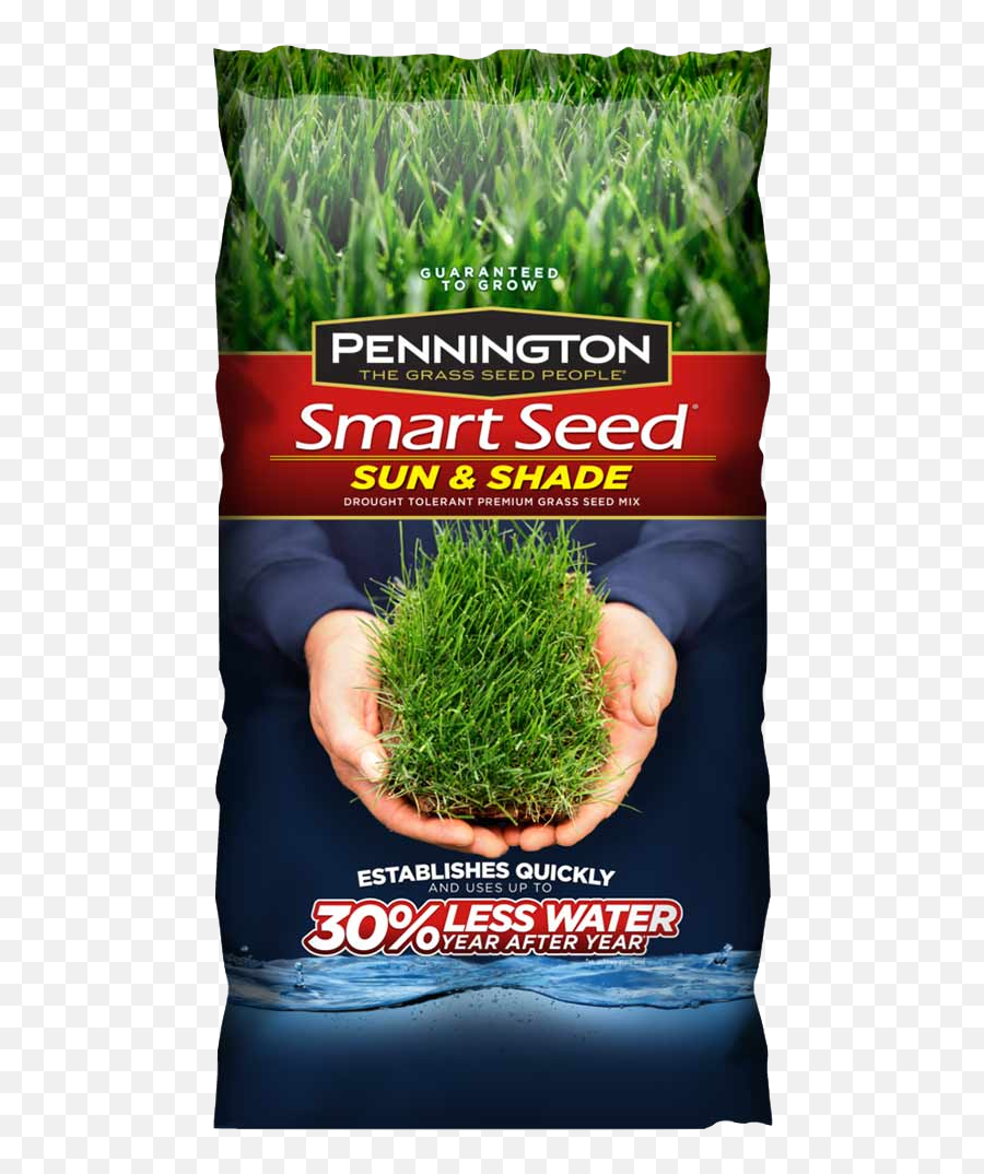Premium Grass Seed For Home Lawns - Lowes Pennington Grass Seed Png,Wild Grass Png