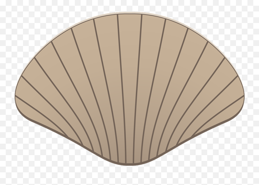 Scallop Shell Mussel - Kerang Icon Png,Scallop Png