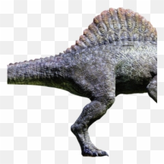 Spinosaurus Jurassic Park Wiki Fandom - Spinosaurus From Jurassic Park 3 Png,Dinosaur Transparent Background