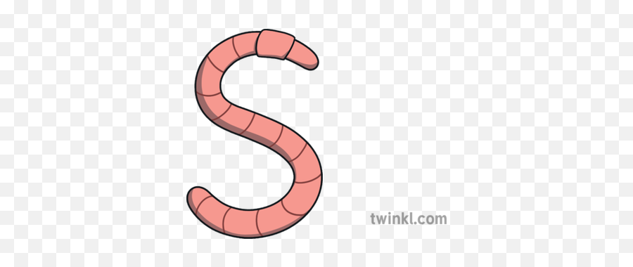 Eyfs Ks1 Worm Earth Letter Shape S Earthworm Illustration - Insect Png,Earthworm Png