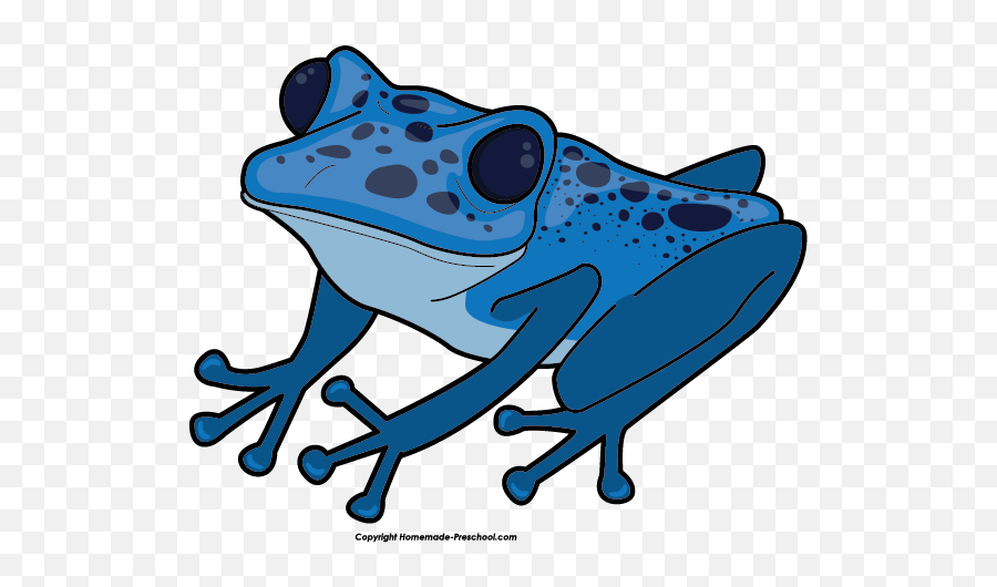 Blue Mountain Tree Frog Clipart - Transparent Poison Dart Frog Clipart Png,Frog Clipart Png