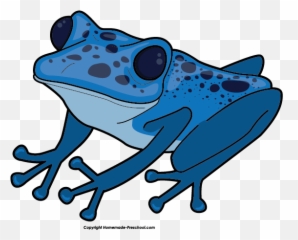 Blue Mountain Tree Frog Clipart - Transparent Poison Dart Frog Clipart Png,Frog Clipart Png