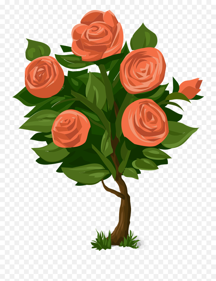 Roses Tree Bush - Rose Plant Clipart Png,Rose Bush Png