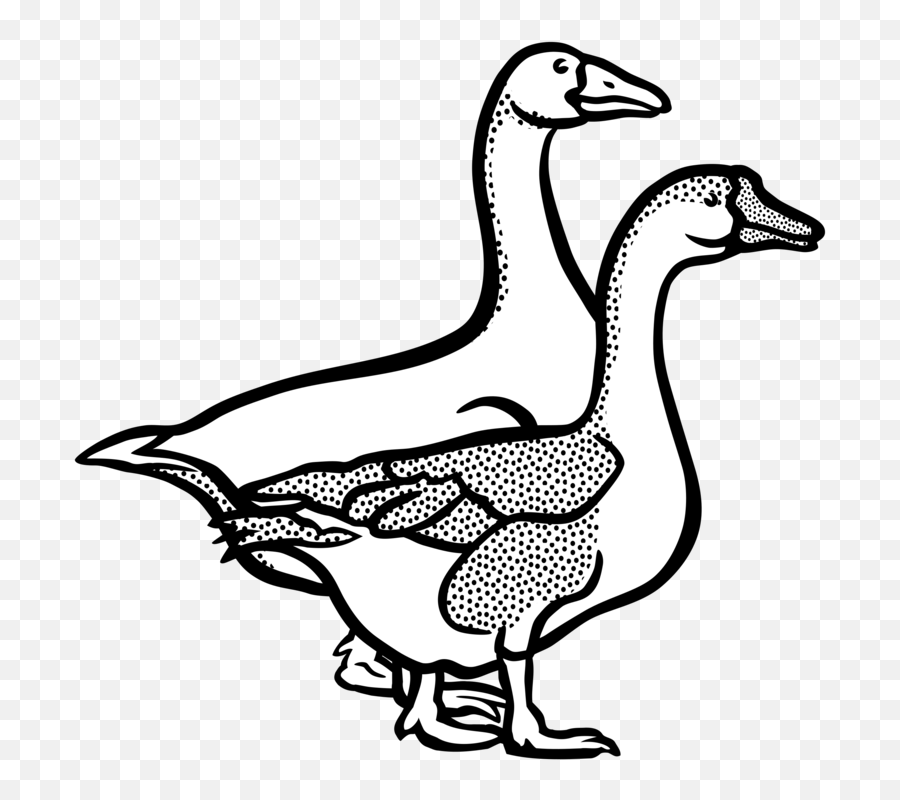 Banner Freeuse Download Canada Line Art - Goose In Black And White Png,Geese Png