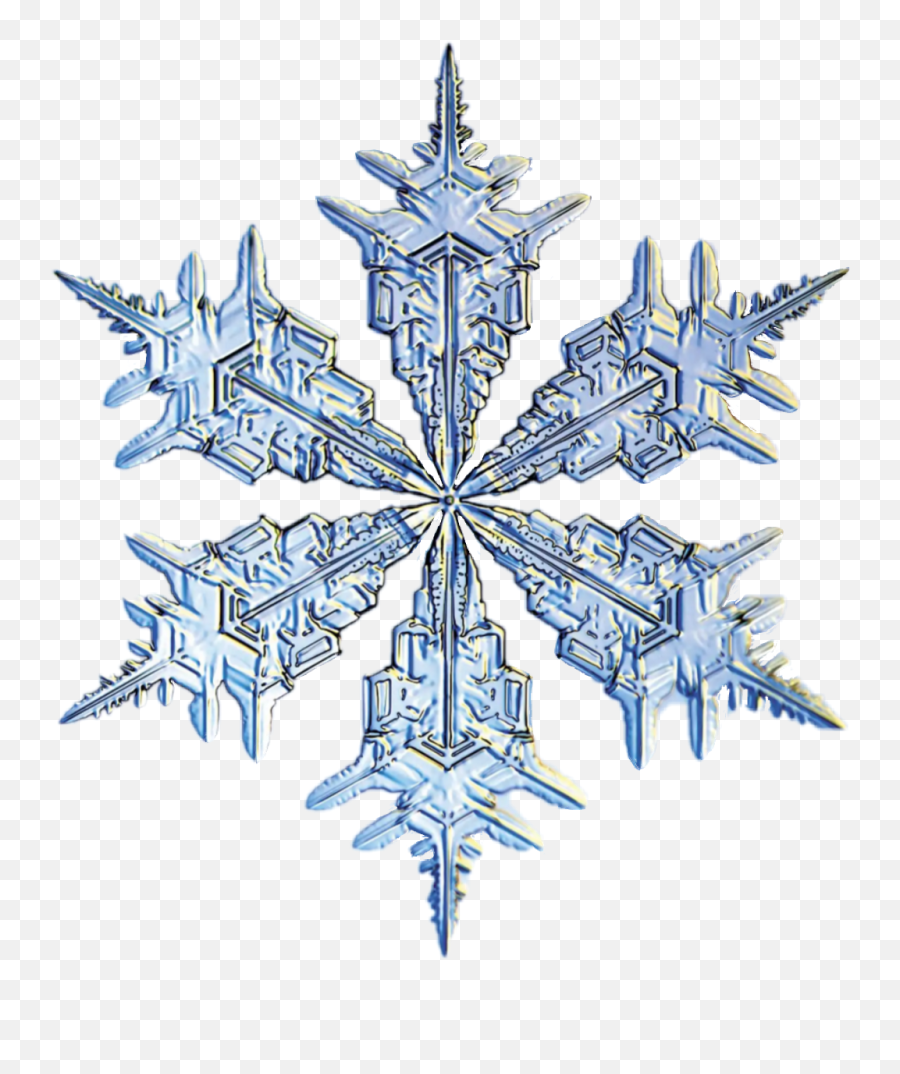 Download Snowflake Animated Png Image - Spring 44 Logo,Animated Png