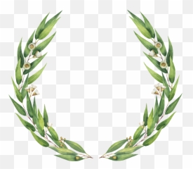 Download Simple Guirnalda Png De Hoja Sauce - Free Free Eucalyptus Wreath Clip Art,Eucalyptus Png
