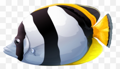 White Chaetodon Butterfly Fish Png - Transparent Background Tropical Clip Art