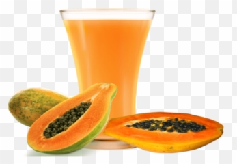 Hirts Gardens Tainung Papaya Tree - Papaya Juice Image Png,Papaya Png