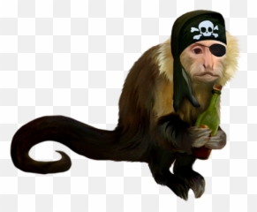 Monkey Squat Png Official Psds - Pirates Monkey,Squat Png
