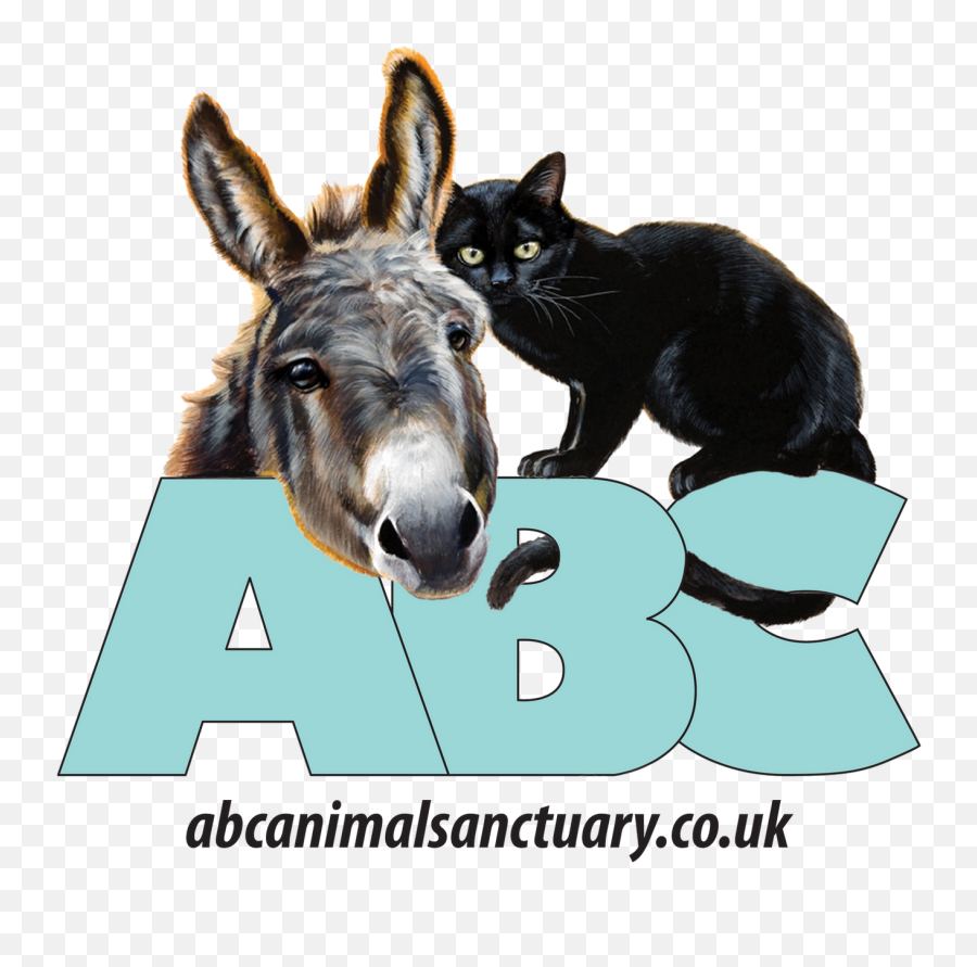 Home Abc Animal Sanctuary - Black Cat Png,Animal Png