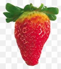 High Quality Strawberry Cliparts For Free 22946 - Free Strawberry Png,Strawberries Transparent Background