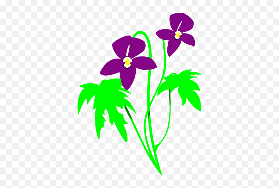 Flowerspng Clipart Panda - Free Clipart Images Purple And Green Flower Clipart,Purple Flowers Png