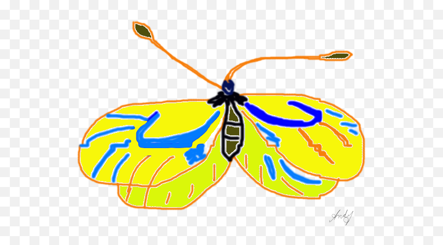 Moth Artwork Work In Progress - Butterflies Png,Work In Progress Png