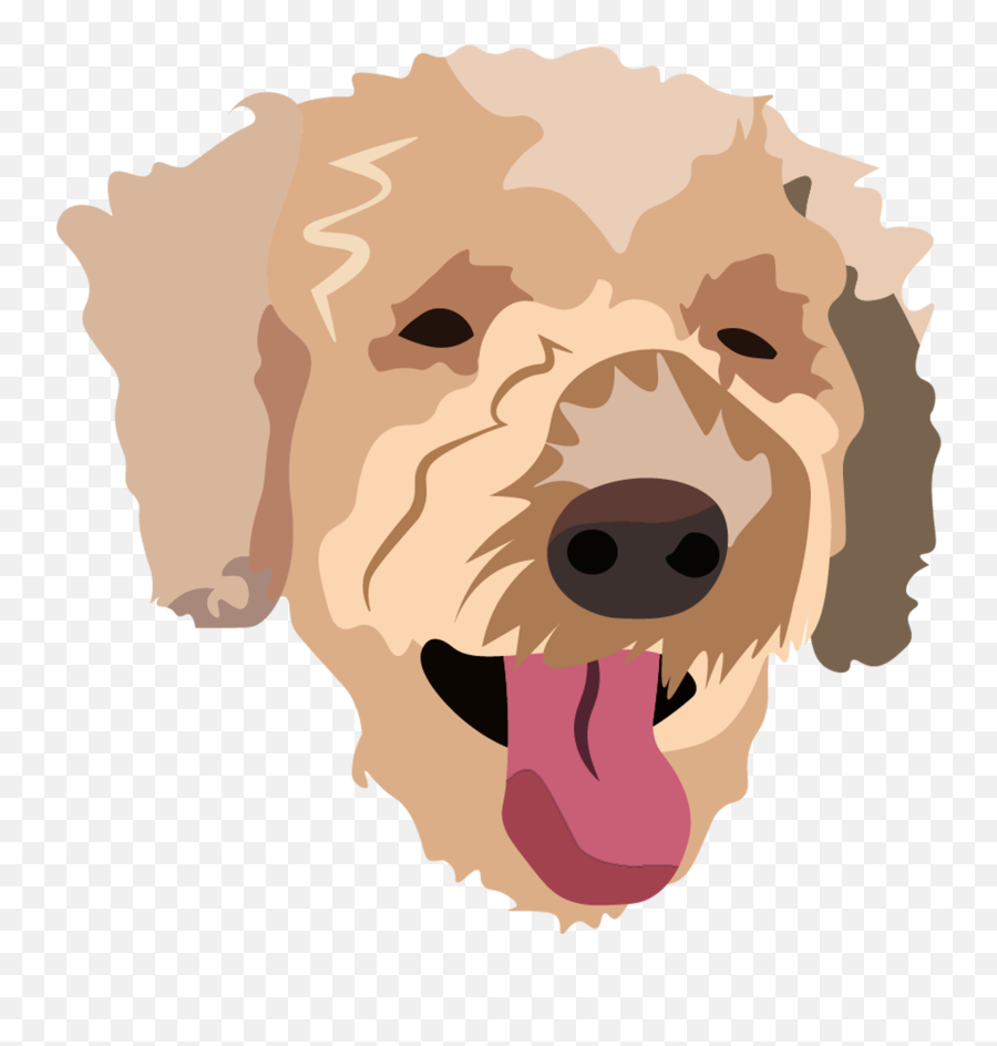I Downloaded Illustrator 5 Days Ago After Only Ever Using - Curly Png,Microsoft Paint Transparent