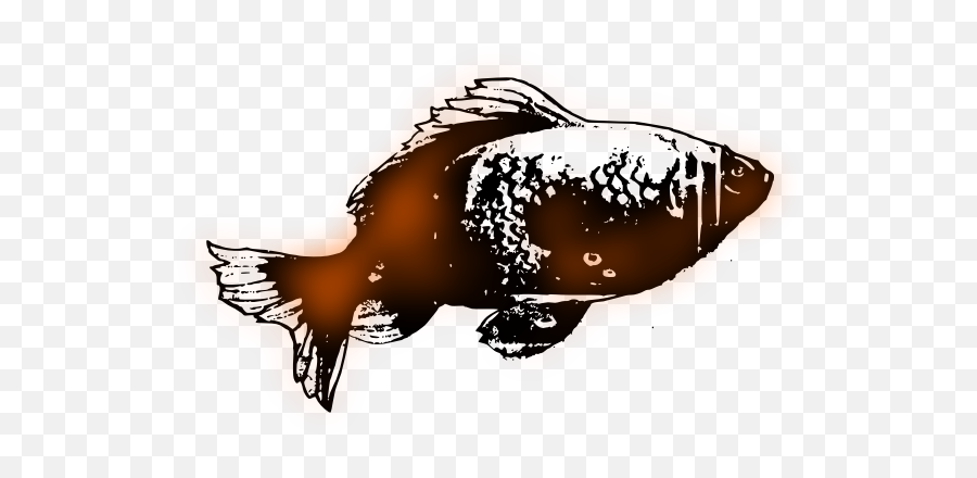 Simple Goldfish Free Svg - Pomacentridae Png,Goldfish Transparent