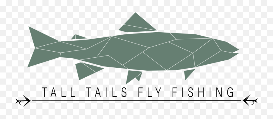 North Georgia Fly Fishing Guides Tall Tails Png Transparent