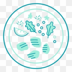 Mini Fish U2022 Gourmet Superfood Protein Snack Order Online - Natural Foods Png,Bowl Icon