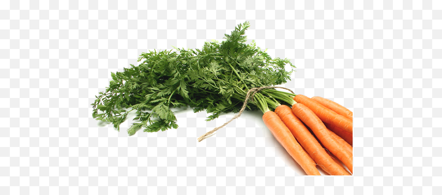 Ppt - Carrot Png,Vegetable Garden Png