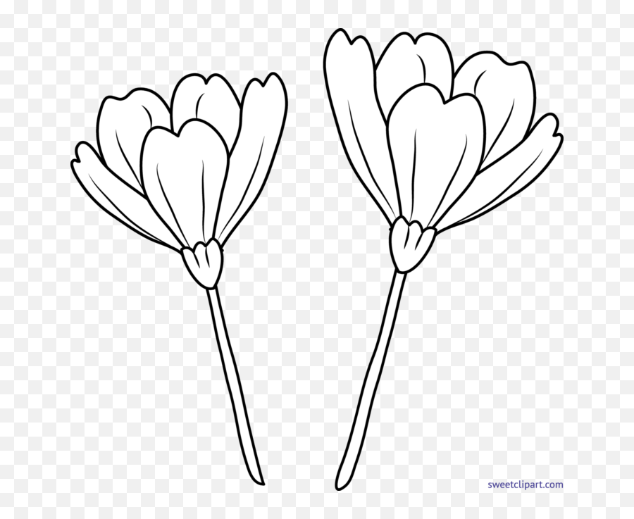 Enlightenment Drawing Locus Flower Transparent U0026 Png Clipart - Flower Line Art Png,Simple Flower Png