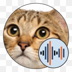 Cat Sounds 101 Soundboards Png Meme Icon