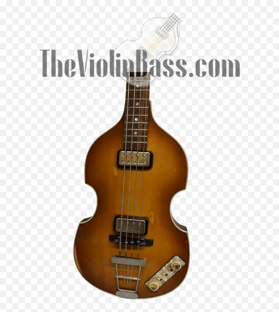 The Violin Bass Store - Hofner Bass Nut Png,Godin Icon Review