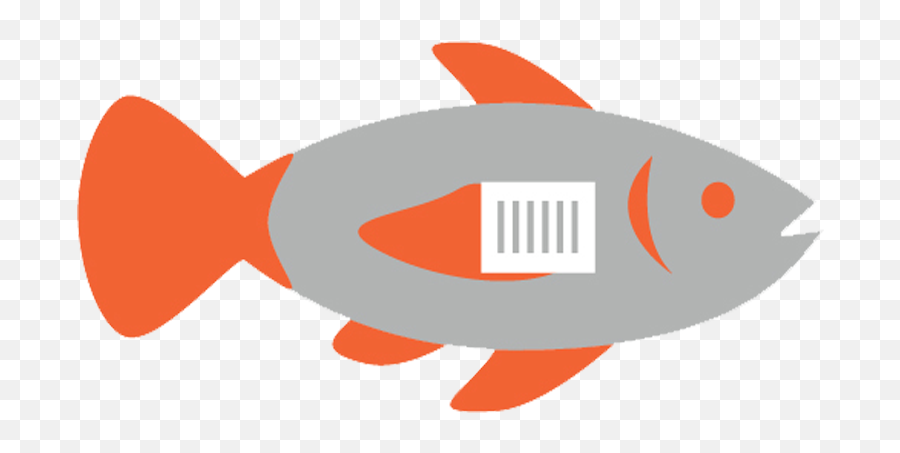 Traceability Seafood - Fish Png,Fish Icon Vector