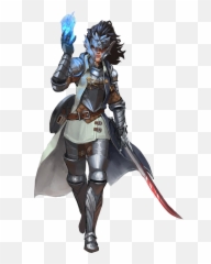 The Magus Gm Binder - Half Elf Eldritch Knight png