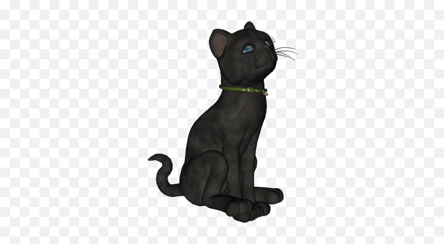 Black Cat 3 Episode Life - Cat Yawns Png,Black Cat Png