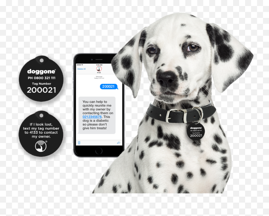 Doggone - Doggone Is An Innovative Itbased Solution Png,Dog Tag Icon