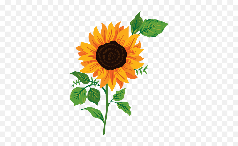 Transparent Png Svg Vector File - Sunflower Illustration Png,Transparent Sunflower