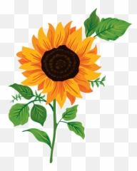 Transparent Png Svg Vector File - Sunflower Illustration