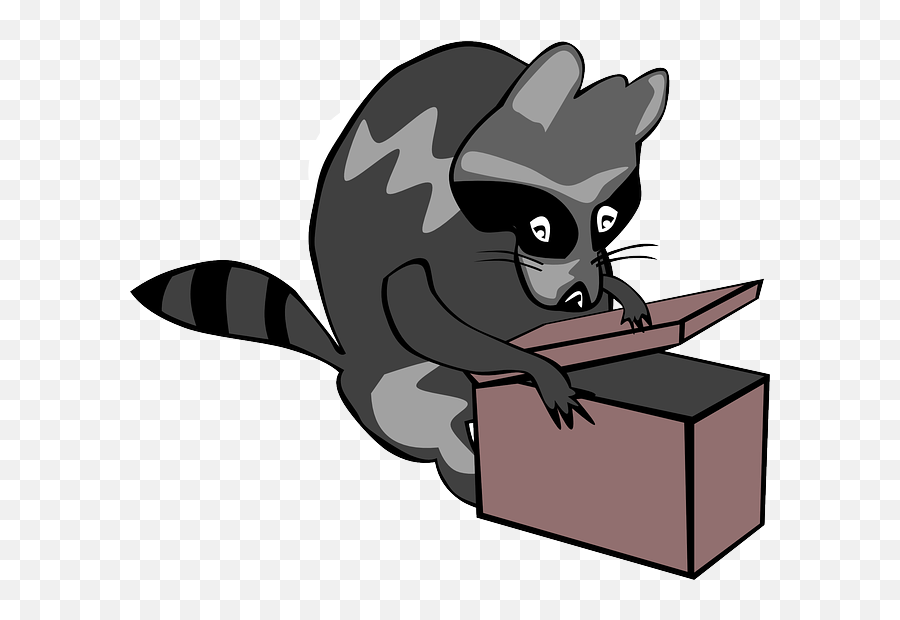 Opening Box - Google Search Pet Raccoon Mammals Clip Art Open Clipart Png,Raccoon Png