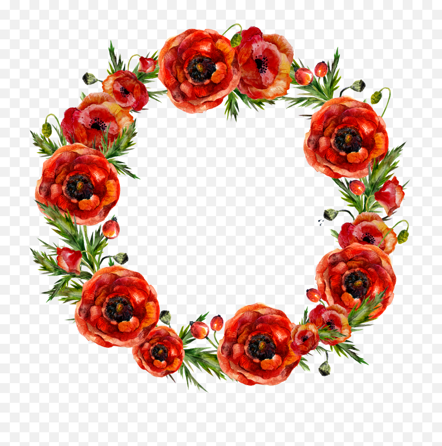 H269b 4 Free Watercolor Flowers Red Wreath Png Garland