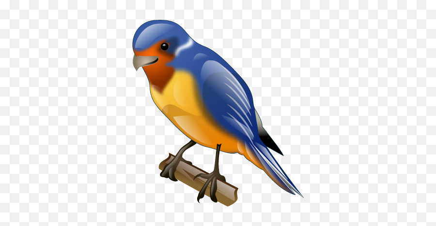 Animal Bird Swallow Twitter Icon - Download Free Icons Bird Icon 3d Png,Twitter Bird Png
