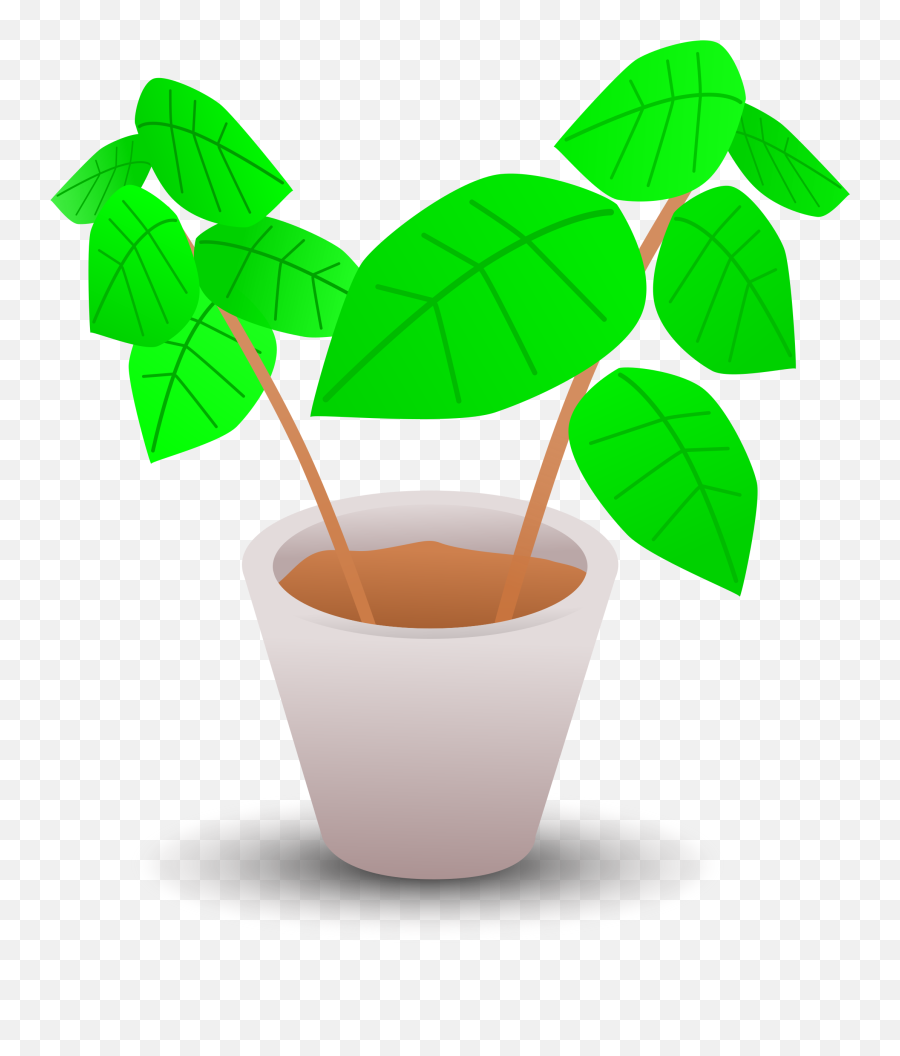 Library Of Svg Freeuse House Plant Png Files Clipart - Plants In Pots Clip,House Plant Png