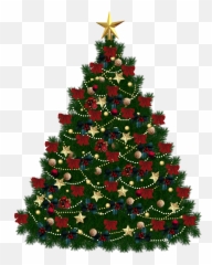 Png - Christmas Tree Without Background