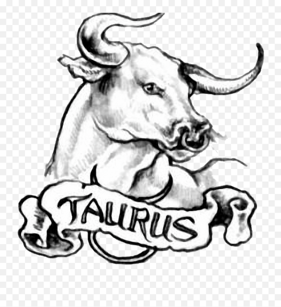 16 Taurus Tattoo Images Pictures And Design Ideas - Taurus Tattoo Png,Chest Tattoo Png