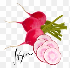 The Comeback Kid Radish - Radish Png,Radish Png