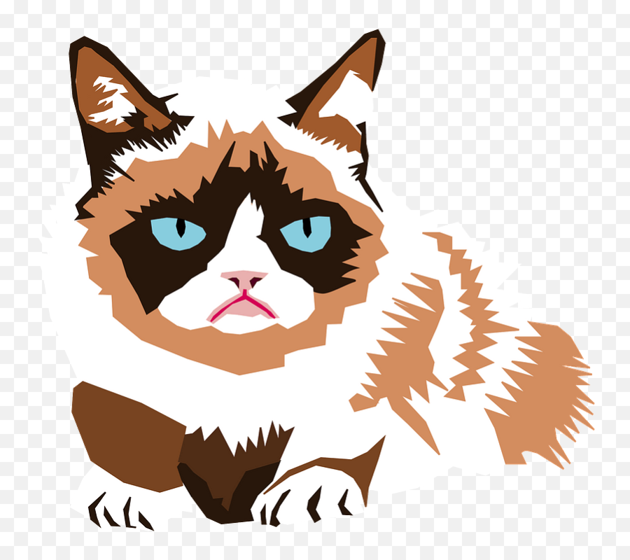 Grumpy Cat Clipart Free Download Transparent Png Creazilla - Financial Independence Meme,Grumpy Png