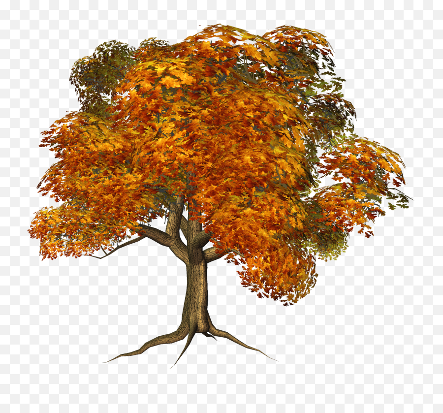 Fall Trees No Background - Transparent Background Autumn Trees Png,Trees Background Png