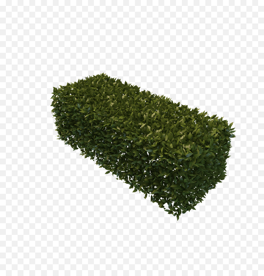 Download Best Free Hedges - Transparent Background Shrub Png,Hedge Png