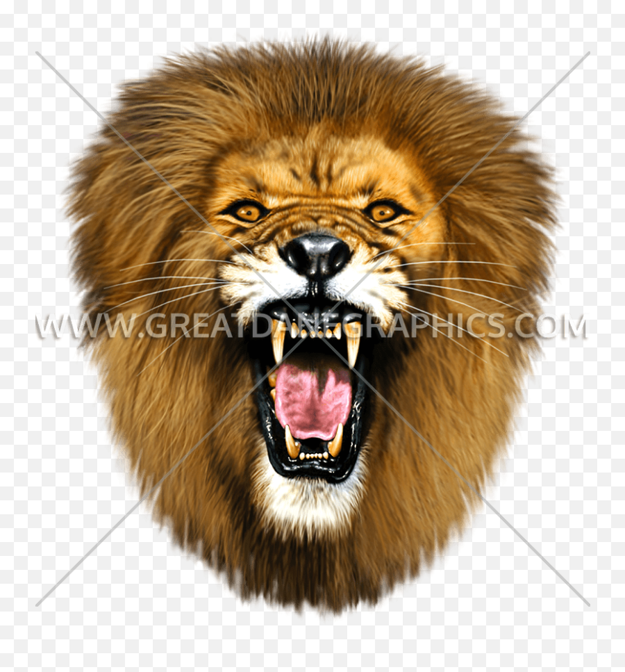 Roaring Lion - Roaring Lion Head Transparent Png,Lion Roar Png